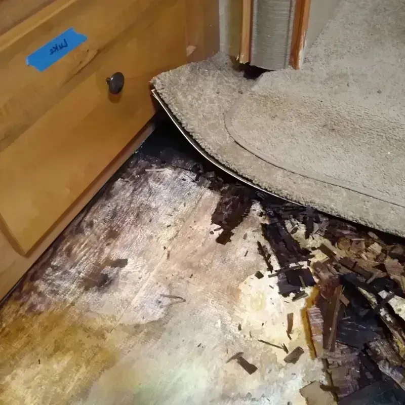 Best Wood Floor Water Damage Service in Spring Valley Lake, CA